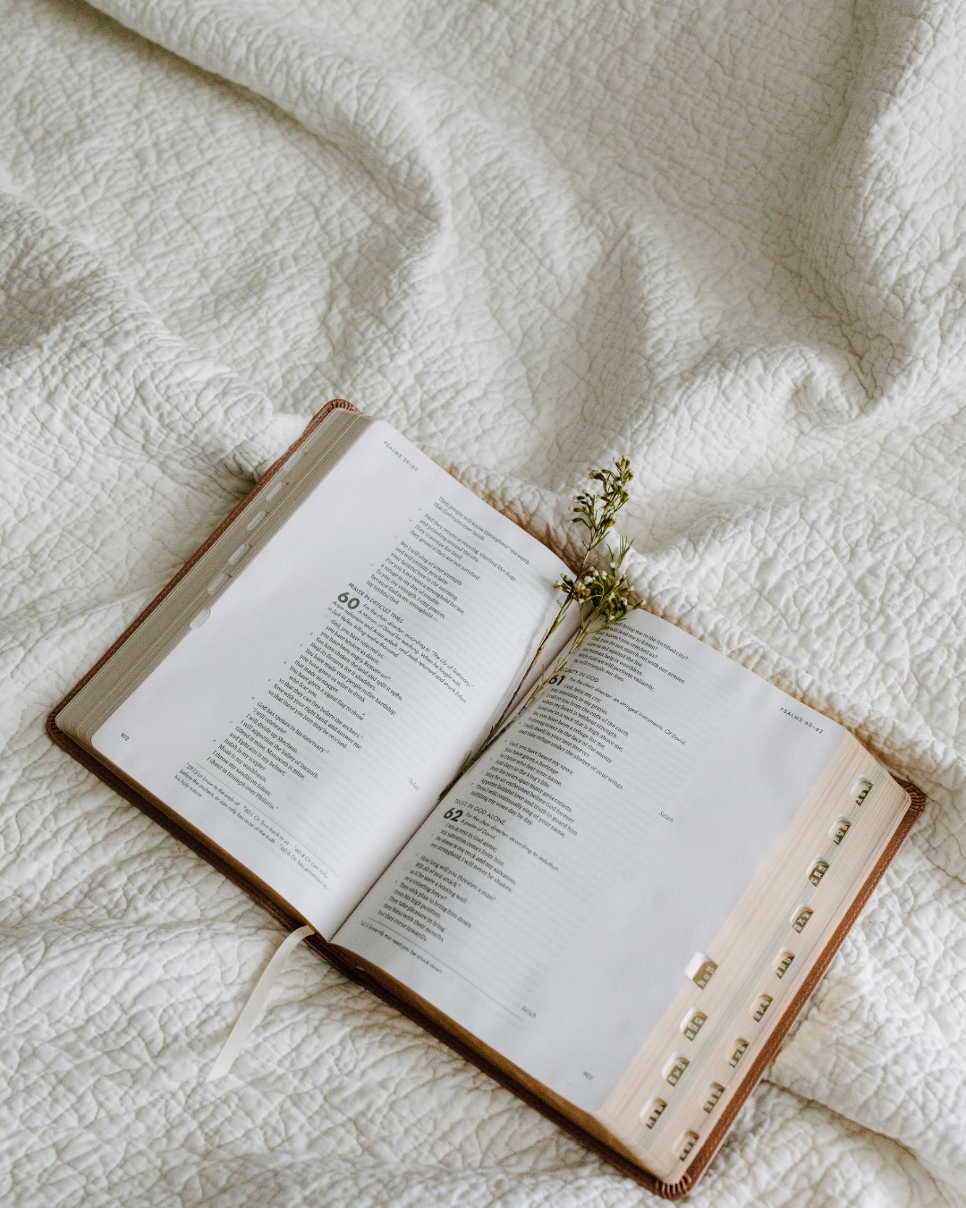 deliverance is needed healer