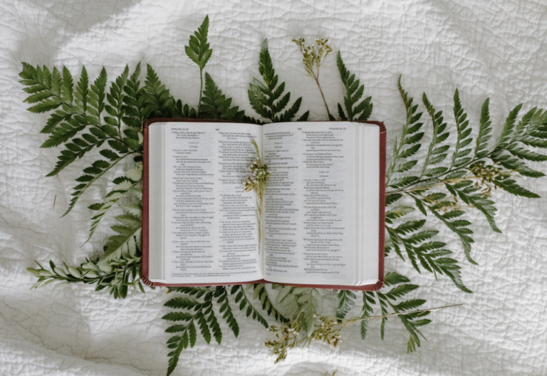 jehovahs witness bible blog post